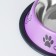 A bowl with a non -slip base color with a print, 475 ml, purple