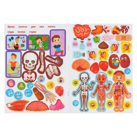 Stickers "How my body works", 16 p.-3
