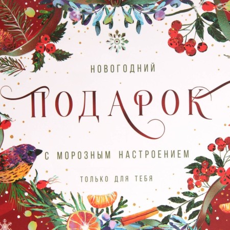 Laminated horizontal package “Frosted”, MS 18 x 23 x 10 cm, New Year-3