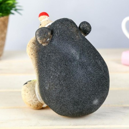 Growing gift grass "Hedgehog"-10