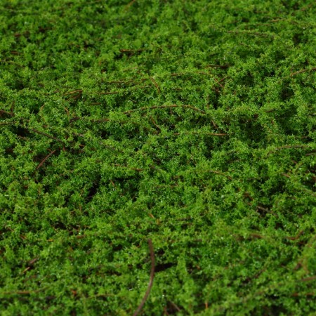 Decorative panel, 90 × 40 cm, "moss", Greengo-10