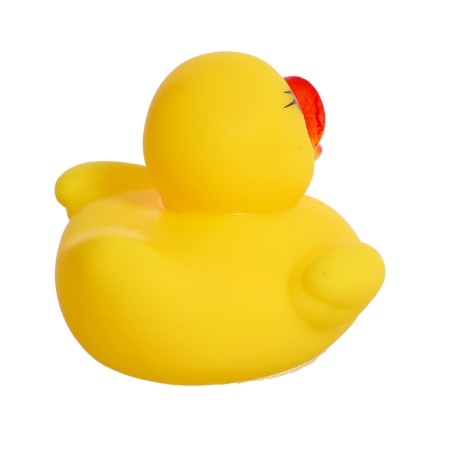 A set of toys for the bath "Catch a duck", 5 objects, color mix-8
