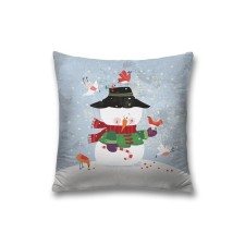Pillowess decorative 