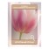 Photostes "Tenderness at dawn", Saten, size 145x265 cm, 2 pcs