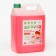 Septivit "Ice Cherry" liquid soap, 5 liters