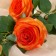 Flowers artificial "Rose luxury" 9x63 cm, orange