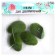 The basis for creativity "Stone with Moss" set of 4 pcs., Size 1 pc. - 5 × 1.5 × 3 cm