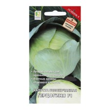 White cabbage seeds 