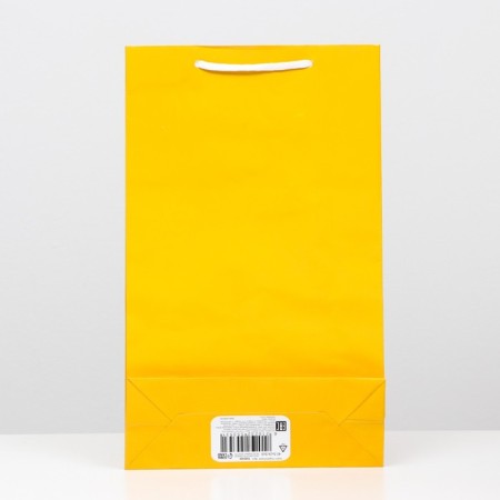 Laminated, gold, 40.5 x 24.8 x 9 cm package-1