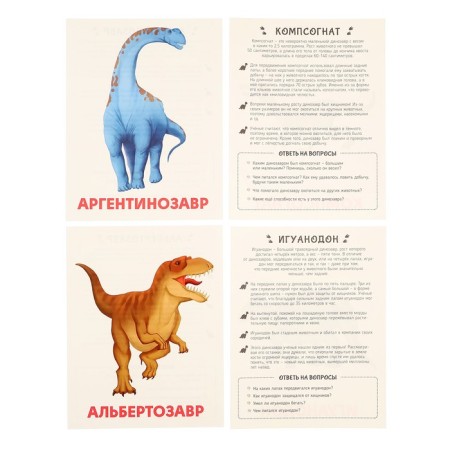 Training cards "Dinosaurs"-4