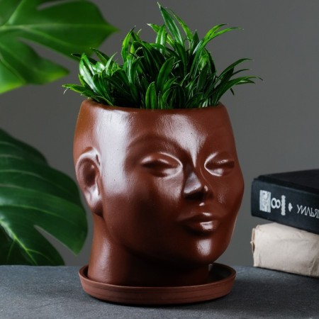 Pot - Organizer "Head" Brown, 1.3 l / 16x16x14cm-1