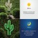 Lamp Garden Era on the Sun Battery "Cactus" LED, IP54