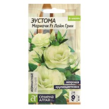 Eustoma Mariachi Flows 