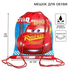 A bag for shoes 420 x 350 mm, car 