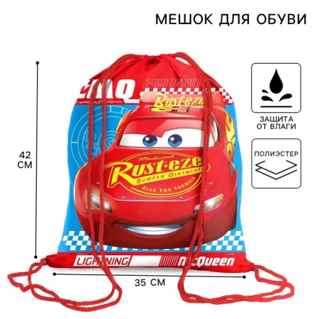 A bag for shoes 420 x 350 mm, car "maccuine" (soft polyester, density 210d)