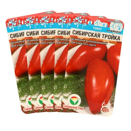 Siberian Troika Tomat seeds, mid -season, set 5 pcs