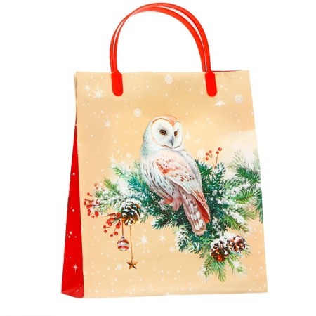 Package Gift soft plastic "Gift" 140 μm bag 26 x 22.5 x 8.5 cm