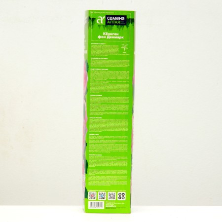 Seedling rose alba (bush) Königen von Denemark, 1 pc, spring 2024-2