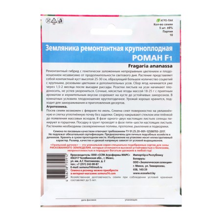 Strawberries "Roman", 5 pcs-1