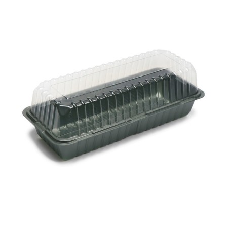 Mini-Pirate for seedlings, 39.5 × 17 × 13 cm, without inserts, dark green, Greengo-1