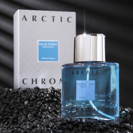 Men's toilet water Arctic Chrome, 100 ml