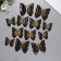 Plastic sticker "Black butterflies with gold" double wings set 12 pcs 12 cm, 10 cm 8 cm
