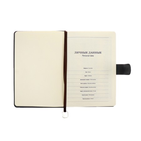 The diary of a non -section A5, 140l, cage, K/deputy, with a pen, in gift. box., Gray-8