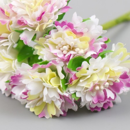 Flowers for decorating "Astra yellow-lilac" 1 bouquet = 6 colors 10 cm-2