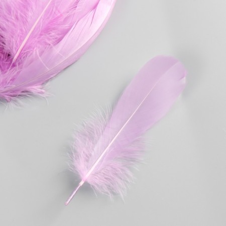 A set of feathers of the goose 13-18 cm, 20 pcs, light lilac-3