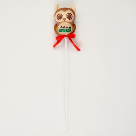 Soft toy in a bouquet "Beloved Teacher" owl on a stick-2