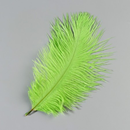 Feather of ostrich 15-20 cm, light green-1