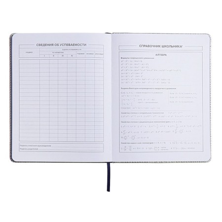 School diary for grades 1-11 "Cherry", solid cover with foam rubber, artificial leather, applique, lies, 48 ​​sheets, handle in the kit, block 70g/m2-11