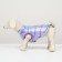 Dog jacket two -sided with weighting, size 16 (DS 36, OG 46, Osh 35), purple/yellow