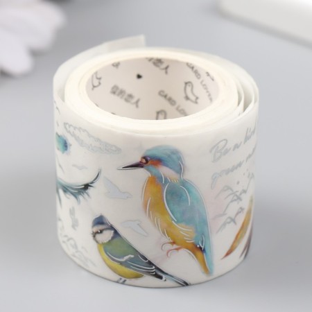 Sticky tape paper "birds" width 4 cm winding 3 m 4x4 cm