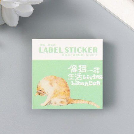 A set of stickers "cats" 40 pcs in a box of 3.8x3.8 cm-3