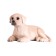 Figure Konik "Labrador, puppy"