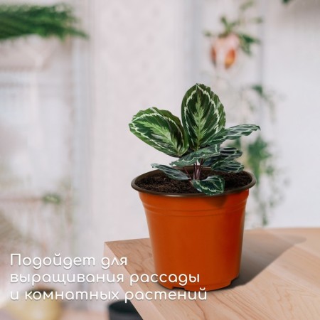 Pot for seedlings, 2.5 l, d = 18 cm, h = 15.5 cm, greengo-2