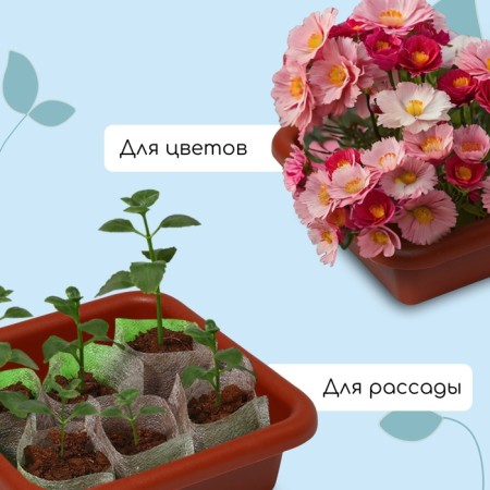 Box for seedlings, 23.5 × 23.5 × 7 cm, 3 l, color mix-3