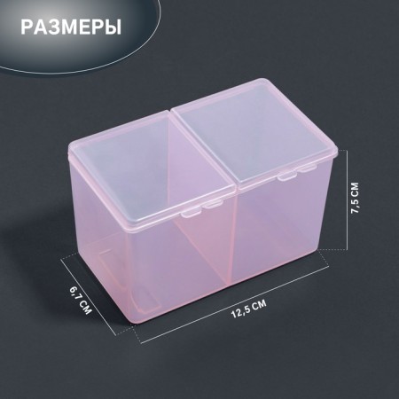 Organizer for storage, with a lid, 2 sections, 6.7 × 12.5 × 7.5 cm, color mix-1
