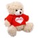 Soft toy "Favorite Bear", 15 cm, Mix colors