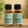 Diffusor "Adore" 20 ml, cinnamon