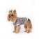 T-shirt with cuffs for dogs "Leopard", size 20 (DS 20 cm, og 30-32 cm), cotton