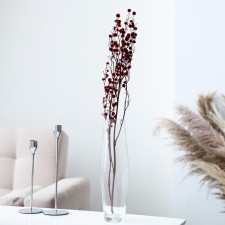 Dry flowers “Molchy Mile”, 25 g, length - 70 cm, red color