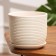 Flower Pot "Vine" White Book No. 2, 1.6 liters