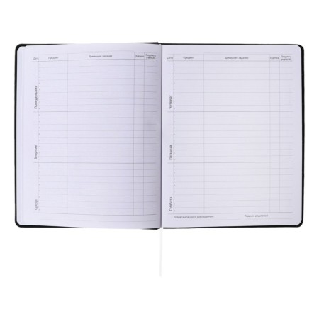 Universal diary for grade 1-11, solid cover, artificial leather, foil embossing, liesse, 80 g/m2-8