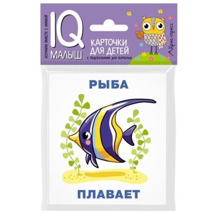 Set. The package is small with IQ games. Learning to read complex words, phrases, sentences-5