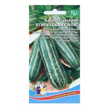 Semen zucchini 