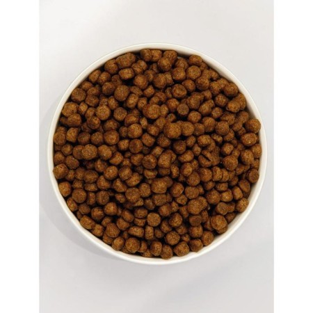 Dry food Zoogurman Home Life for cats, chicken, 350 g-2