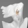 Earrings with pearls "bun" on the ring, the color is white in gold