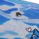 Folder-converter on the Travel button Phoenix "Cute Cat" 230*120mm silver